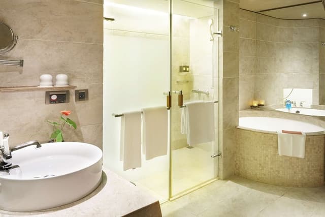 Prestige Club Deluxe King (Free Parking, 1 Vehicle)