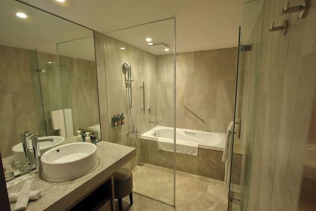 Premier Single Room
