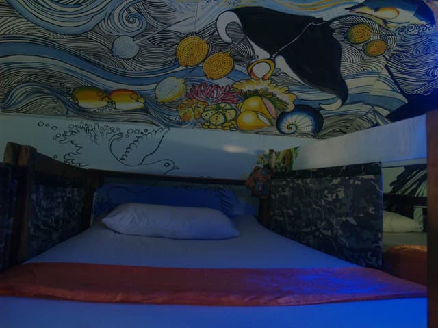 Mixed Dormitory