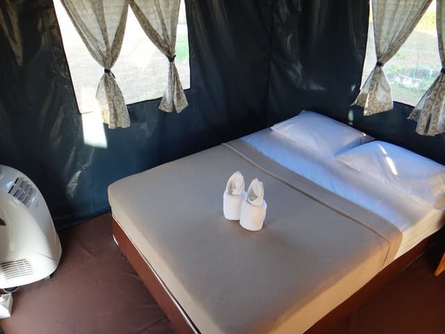 VIP Tent for 1 Person (Breakfast and Dinner Included)
