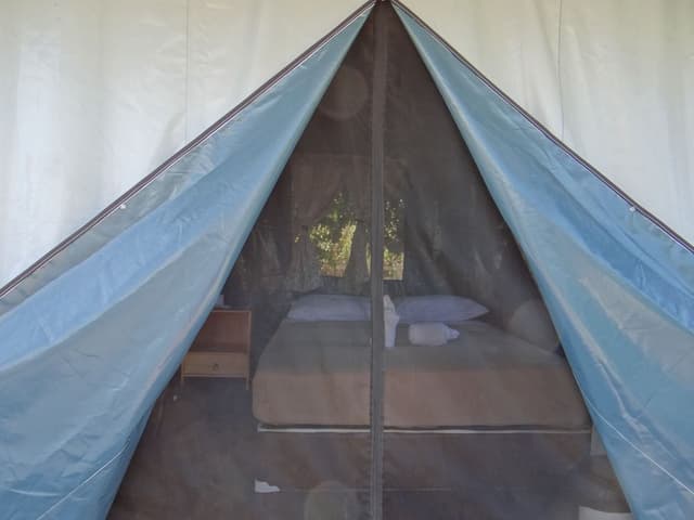 VIP Tent for 1 Person (Breakfast and Dinner Included)