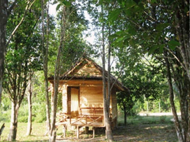 Banana Bungalow