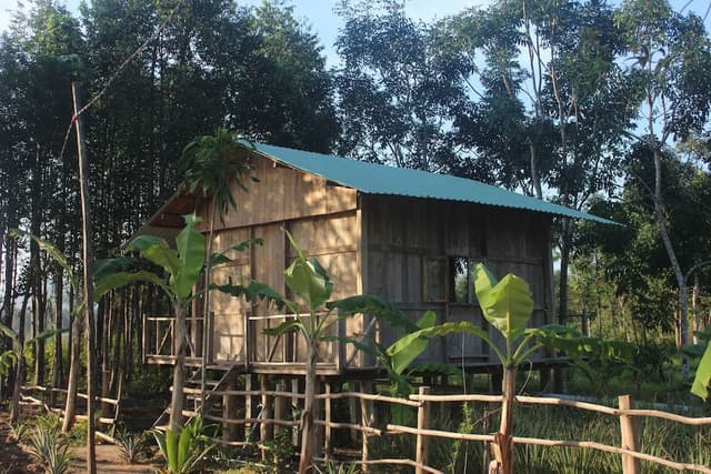 Wooden Bungalow, 2 Double Beds