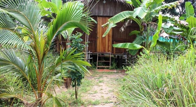 Banana Bungalow