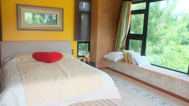 View Love Room