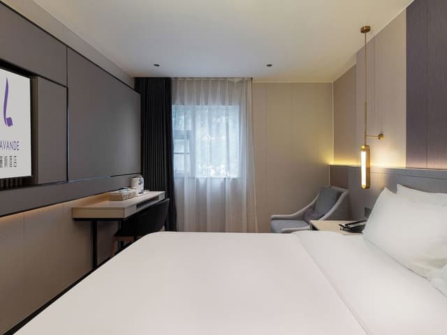 Business Double Room, City View