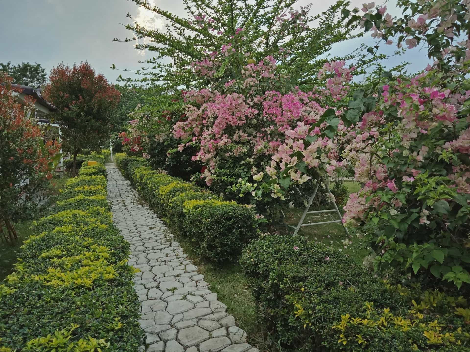 Les Collines Khaoyai Resort Les Collines Khaoyai Resort