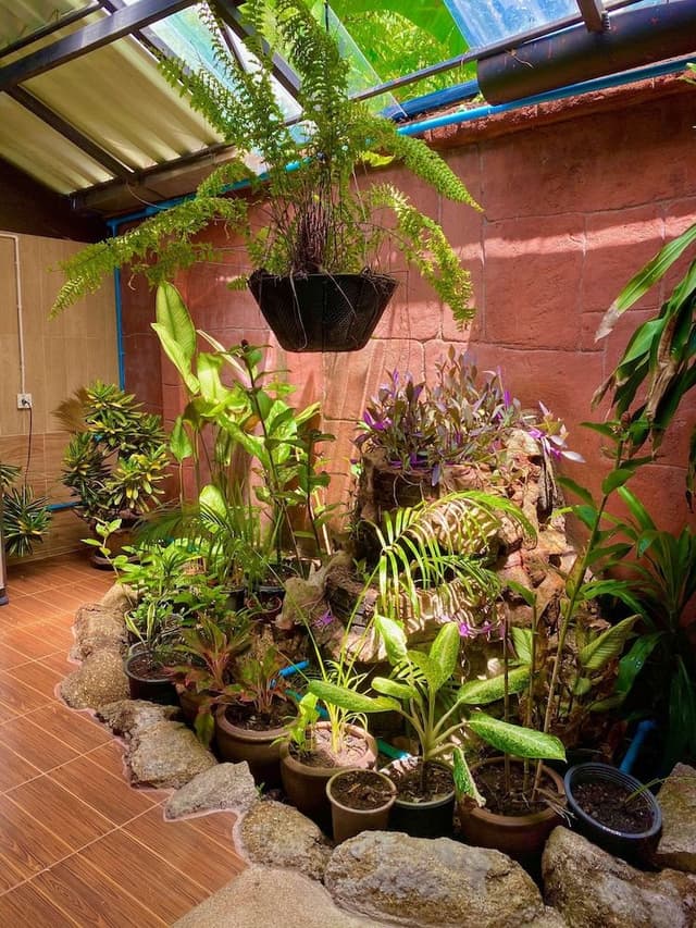 Superior Room, Kitchen, Garden View