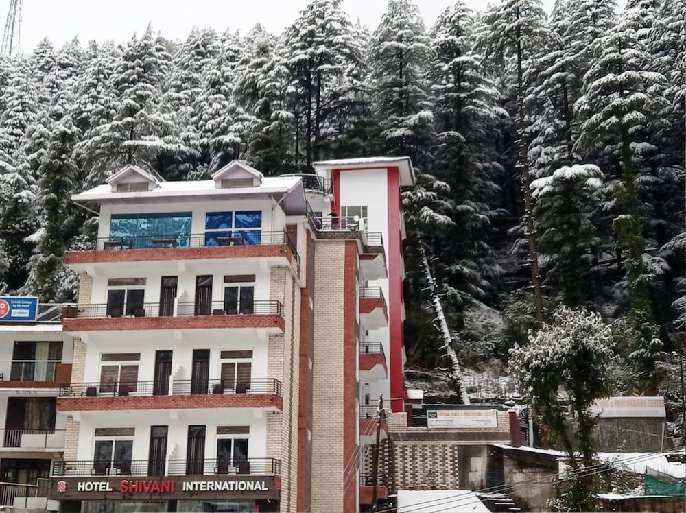 Hotel Shivani International3