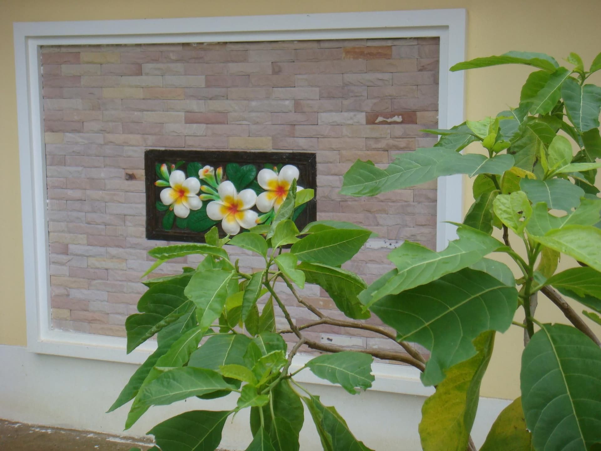 น้ำโขงธารา รีสอร์ท น้ำโขงธารา รีสอร์ท