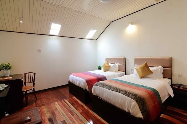 Swiftlet Gold Loft