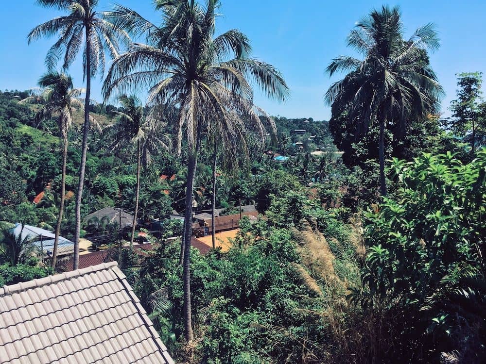 Reggae Village Reggae Village