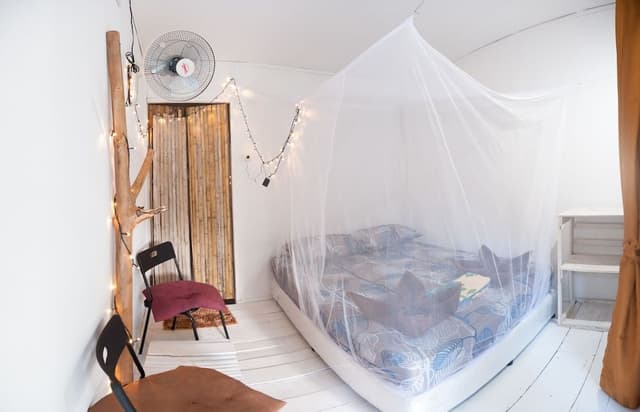 Basic Room, 1 King Bed