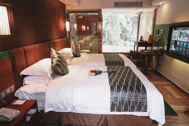 Deluxe Twin Room, Balcony