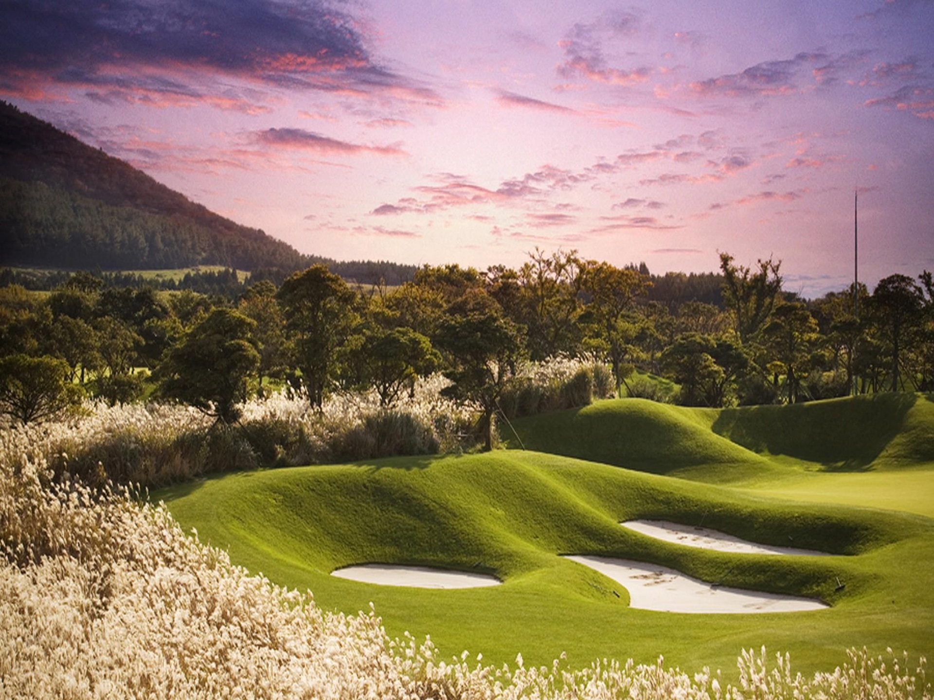 เอลิเซียน เชจู กอล์ฟเทล (Elysian Jeju Golftel)4