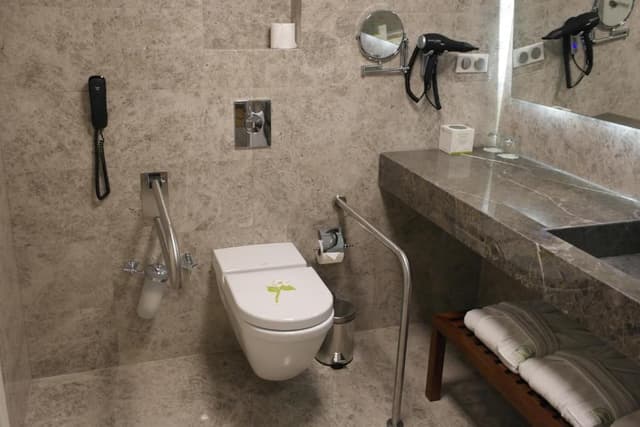 Premier Room - Disability Access