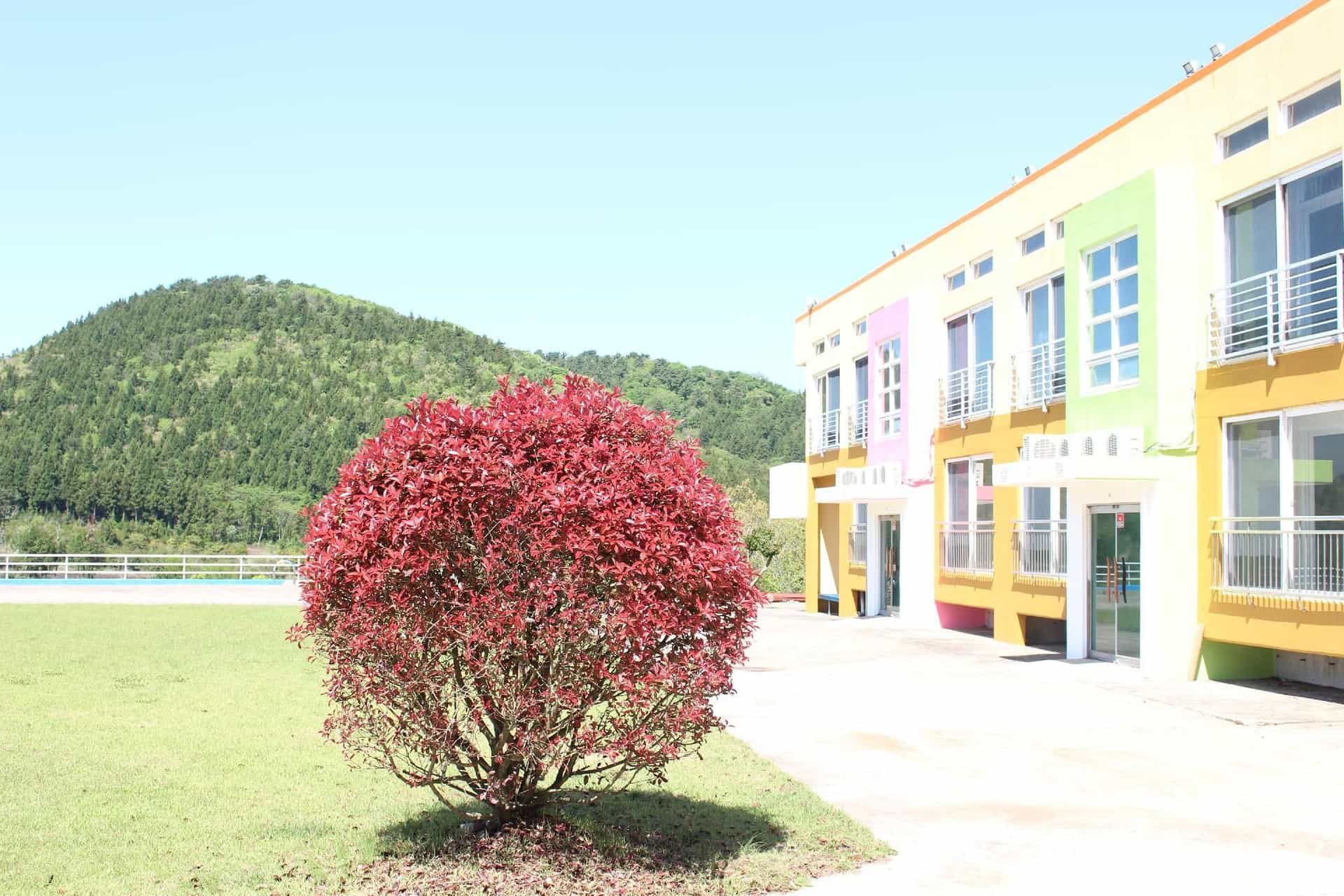 Geomunoreum Hostel Geomunoreum Hostel