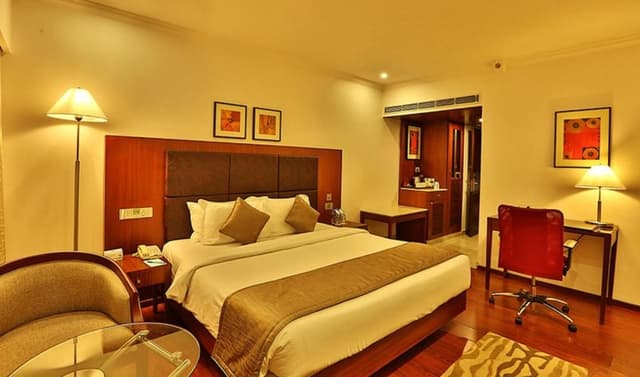 Executive Suite