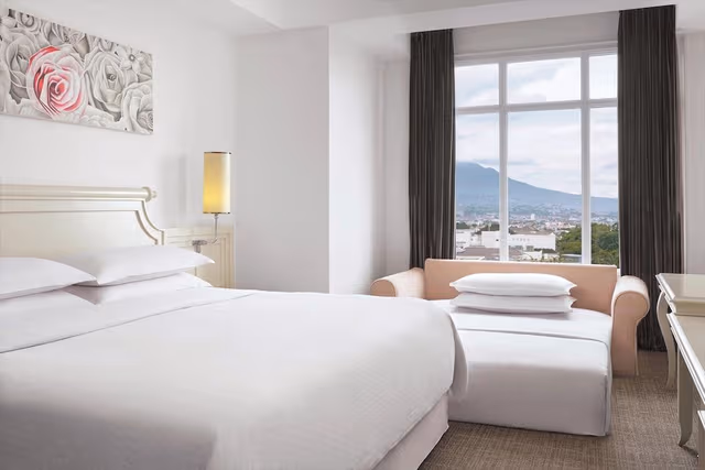 Premium Room, 1 King Bed with Sofa bed