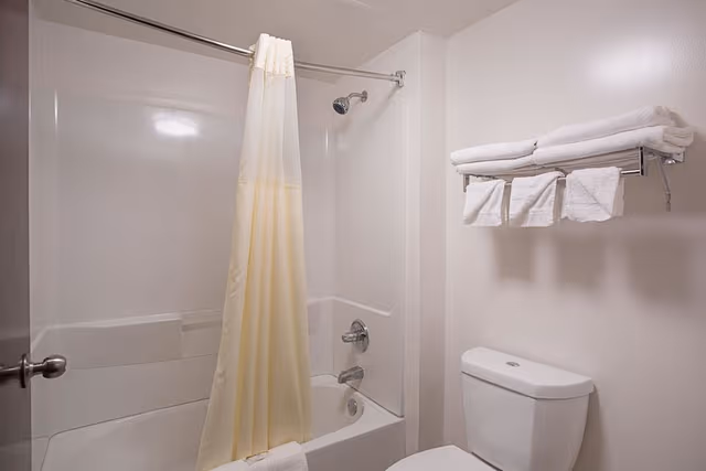 Room, 1 King Bed, Accessible, Non Smoking