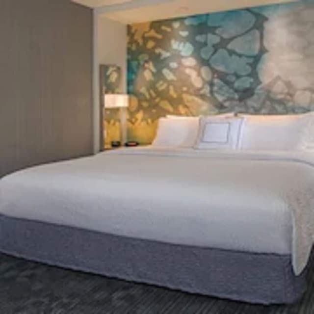 Room, 1 King Bed with Sofa bed