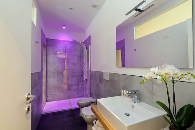 Junior Suite, Terrace