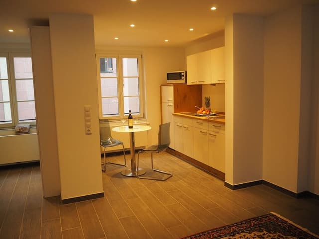 Standard Apartment, Kitchenette