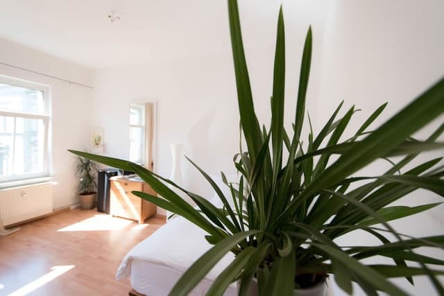 City Apartment, 1 Double Bed, Kitchen
