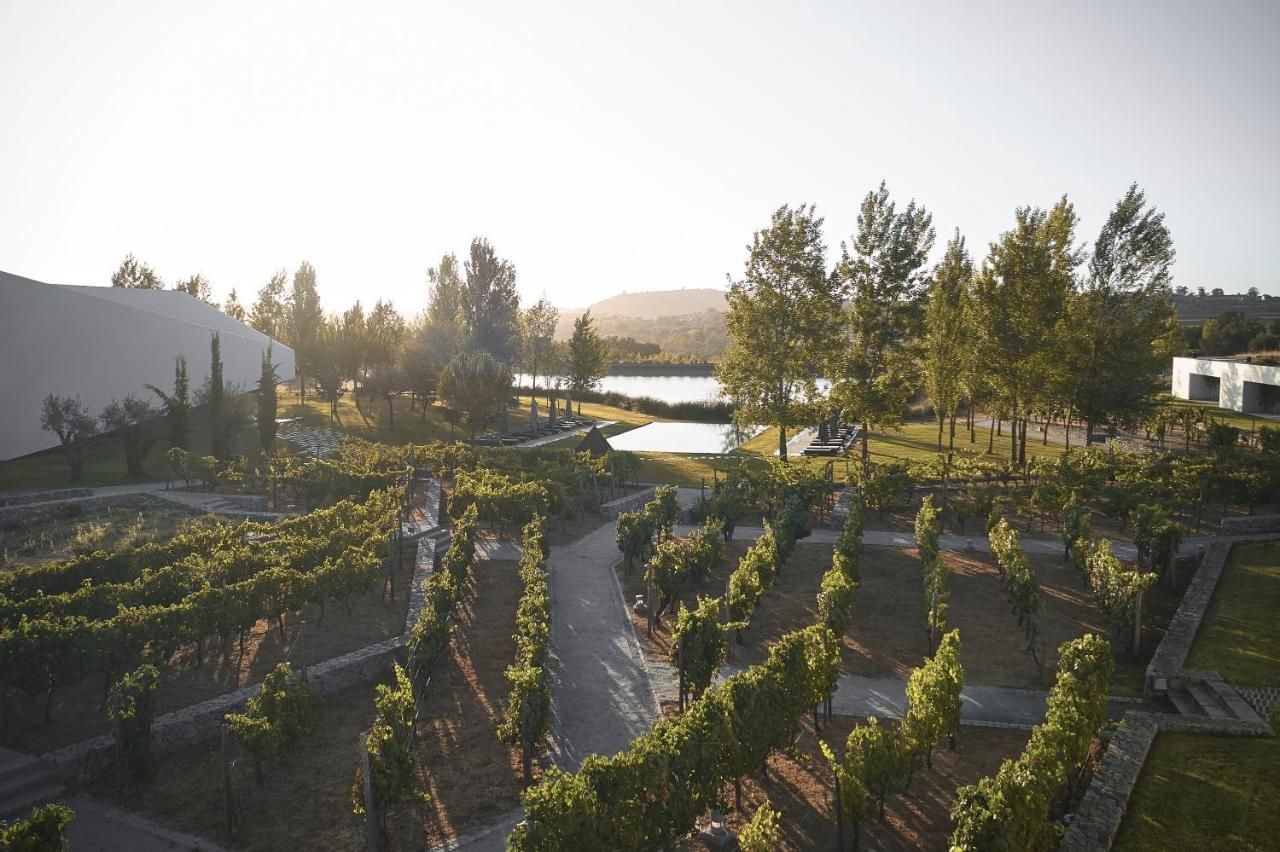 L'AND Vineyards0