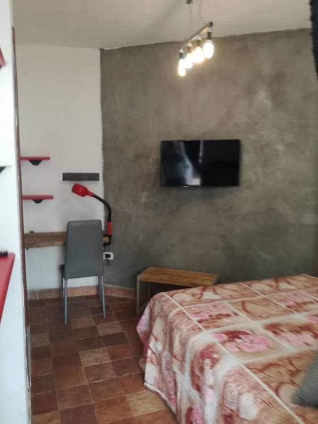 Basic Double Room Single Use, 1 Double Bed, Patio, Garden Area