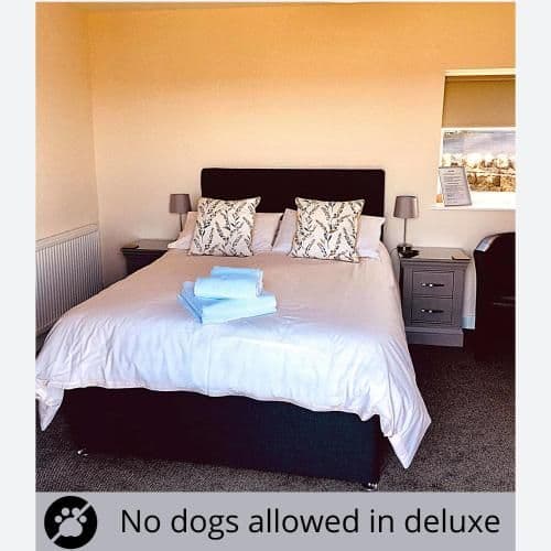 Double room-Deluxe-Ensuite with Shower-Countryside view-Deluxe Double Room