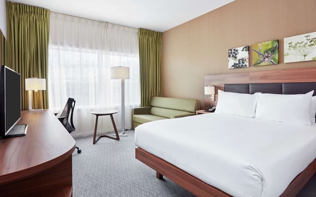 QUEEN ROOM W/ SOFABED