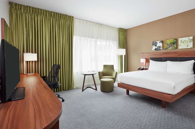 QUEEN ACCESSIBLE ROOM