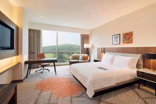 Guest Room,1 King Bed