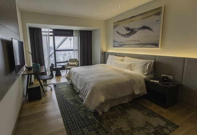 Studio, 1 King Bed
