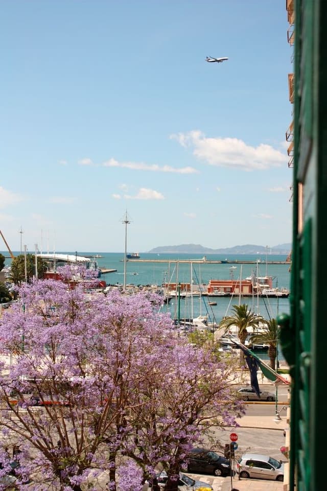 Double or Twin Room, Harbor View