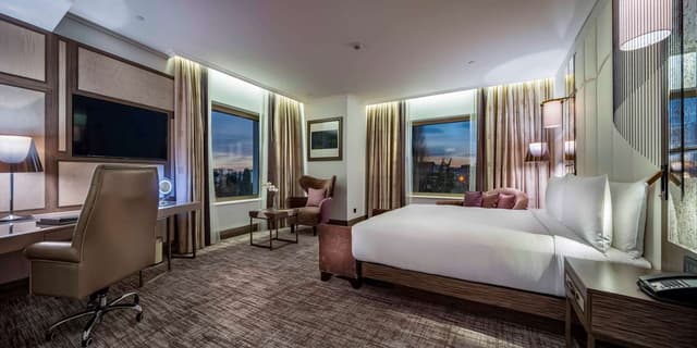 KING DELUXE ROOM WITH PARK VIEW