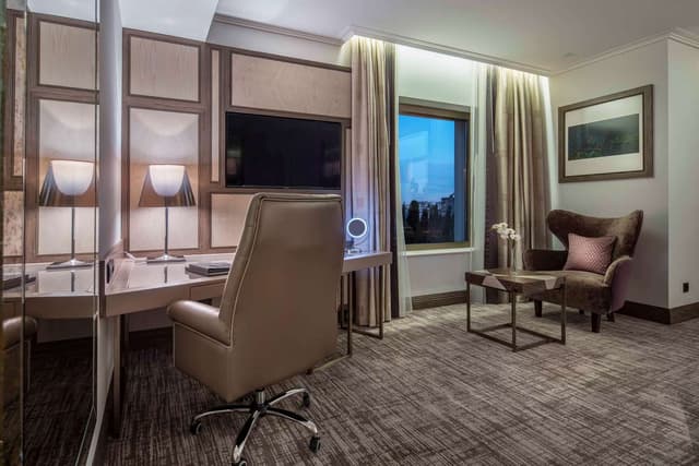 KING DELUXE ROOM WITH PARK VIEW