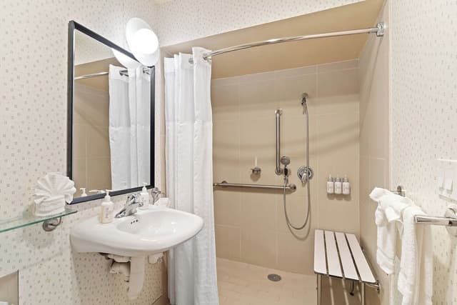 Single Room, 1 King Bed, Accessible
