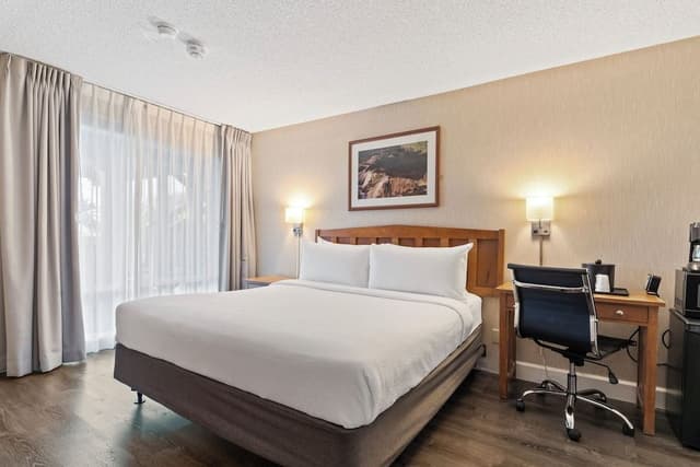 Single Room, 1 King Bed, Accessible