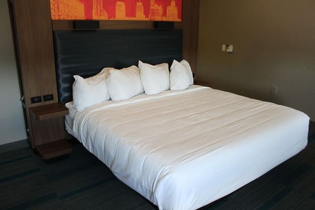 Room, 1 King Bed (Mobility Accessible, Roll-In Shower)