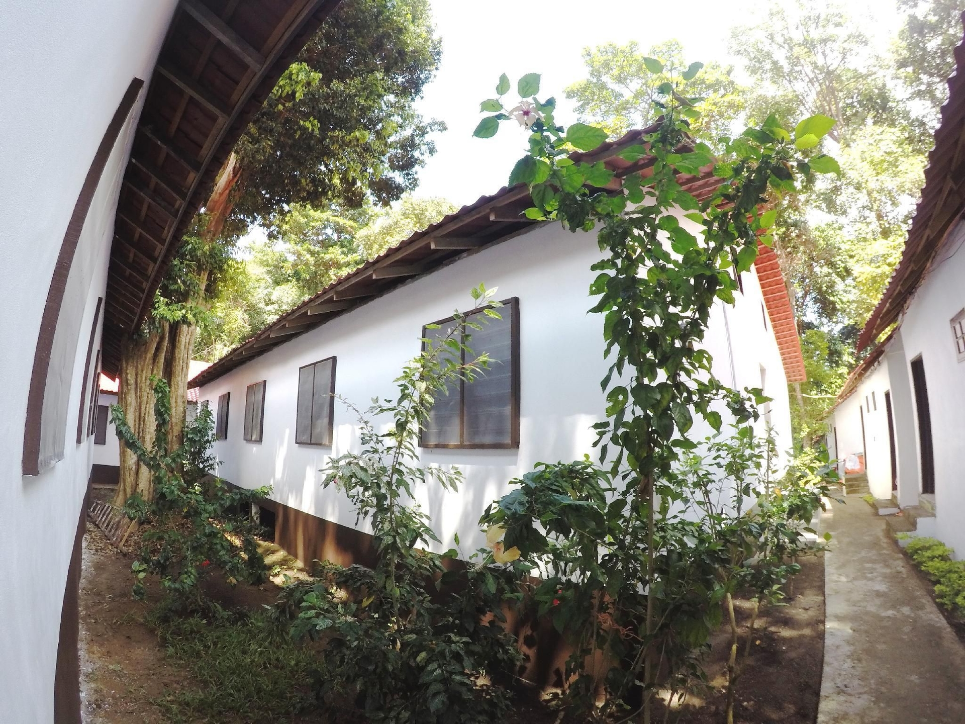 เปอร์เฮนเตียน ทิโวลี อินน์ (Perhentian Tivoli Inn)0