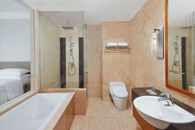 Suite, 1 King Bed, City View