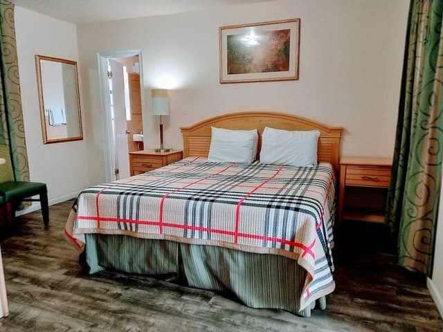 Room, 1 King Bed, Non Smoking
