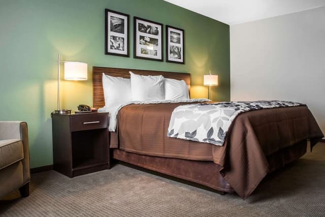Standard Room, 1 King Bed, Non Smoking
