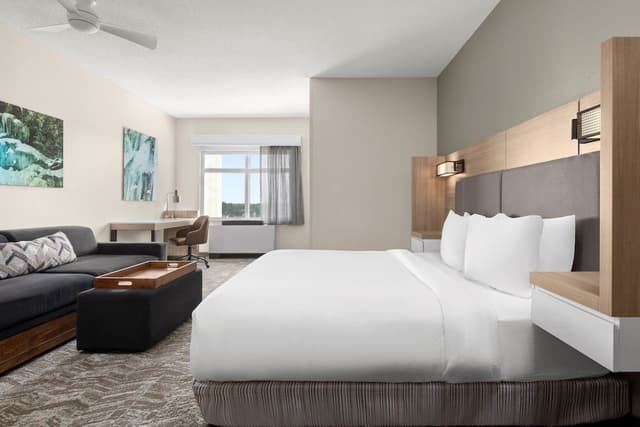 Suite, 1 King Bed with Sofa bed