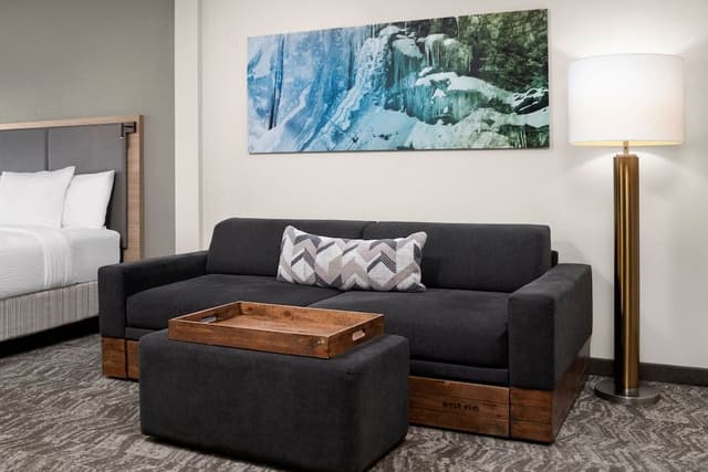 Suite, 1 King Bed with Sofa bed
