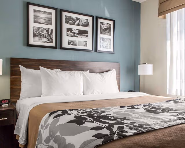 Standard Room, 1 King Bed, Non Smoking