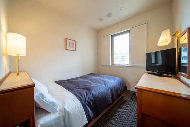 Single Room, Non Smoking