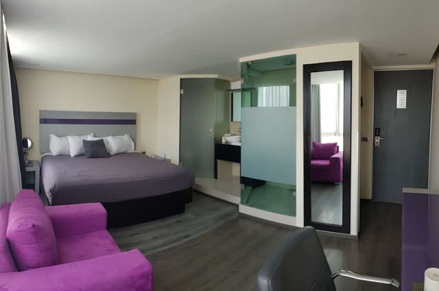 Suite-1 King Bed, Non-Smoking, Sofa, High Speed Internet Access, Coffee Maker, Hairdryer, Iron And Ironing Board, Continental Breakfast